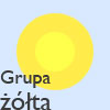 grupa żółta